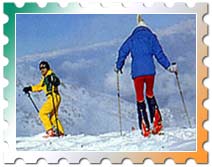 Skking in gulmarg, gulmarg skking tour package, tour package gulmarg